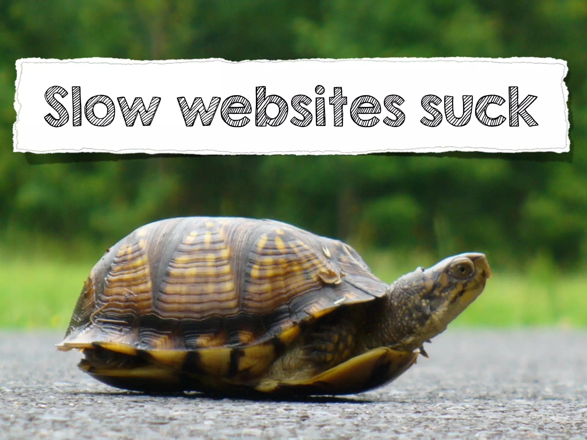 Slow websites suck
 