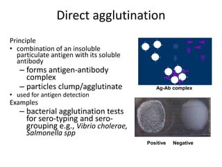 Common serology tests and their problems..pdf