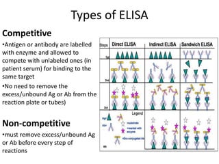 Competitive Elisa Microbe Notes.pdf Common serology tests and their problems..pdf