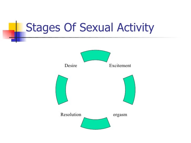 Orgasm Stages 48