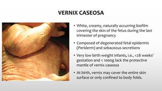 VERNIX CASEOSA
• White, creamy, naturally occurring biofilm
covering the skin of the fetus during the last
trimester of pregnancy
• Composed of degenerated fetal epidermis
(Periderm) and sebaceous secretions
• Very low birth weight infants, i.e., <28 weeks'
gestation and < 1000g lack the protective
mantle of vernix caseosa
• At birth, vernix may cover the entire skin
surface or only confined to body folds.
 