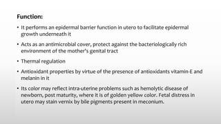 Function:
• It performs an epidermal barrier function in utero to facilitate epidermal
growth underneath it
• Acts as an antimicrobial cover, protect against the bacteriologically rich
environment of the mother's genital tract
• Thermal regulation
• Antioxidant properties by virtue of the presence of antioxidants vitamin-E and
melanin in it
• Its color may reflect intra-uterine problems such as hemolytic disease of
newborn, post maturity, where it is of golden yellow color. Fetal distress in
utero may stain vernix by bile pigments present in meconium.
 