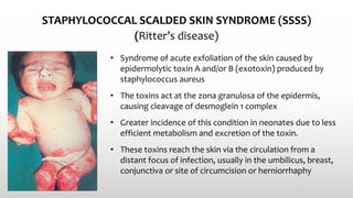 STAPHYLOCOCCAL SCALDED SKIN SYNDROME (SSSS)
(Ritter’s disease)
• Syndrome of acute exfoliation of the skin caused by
epidermolytic toxin A and/or B (exotoxin) produced by
staphylococcus aureus
• The toxins act at the zona granulosa of the epidermis,
causing cleavage of desmoglein 1 complex
• Greater incidence of this condition in neonates due to less
efficient metabolism and excretion of the toxin.
• These toxins reach the skin via the circulation from a
distant focus of infection, usually in the umbilicus, breast,
conjunctiva or site of circumcision or herniorrhaphy
 