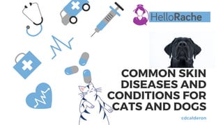 COMMON SKIN
DISEASES AND
CONDITIONS FOR
CATS AND DOGS
cdcalderon
 