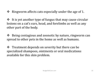  Ringworm affects cats especially under the age of 1.
 It is yet another type of fungus that may cause circular
lesions on a cat’s ears, head, and forelimbs as well as any
other part of the body.
 Being contagious and zoonotic by nature, ringworm can
spread to other pets in the home as well as humans.
 Treatment depends on severity but there can be
specialized shampoos, ointments or oral medications
available for this skin problem.
10BudgetVetCare.com
 
