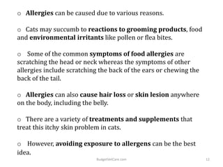 o Allergies can be caused due to various reasons.
o Cats may succumb to reactions to grooming products, food
and environmental irritants like pollen or flea bites.
o Some of the common symptoms of food allergies are
scratching the head or neck whereas the symptoms of other
allergies include scratching the back of the ears or chewing the
back of the tail.
o Allergies can also cause hair loss or skin lesion anywhere
on the body, including the belly.
o There are a variety of treatments and supplements that
treat this itchy skin problem in cats.
o However, avoiding exposure to allergens can be the best
idea.
12BudgetVetCare.com
 