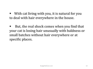  With cat living with you, it is natural for you
to deal with hair everywhere in the house.
 But, the real shock comes when you find that
your cat is losing hair unusually with baldness or
small batches without hair everywhere or at
specific places.
14BudgetVetCare.com
 