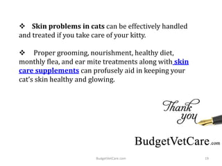  Skin problems in cats can be effectively handled
and treated if you take care of your kitty.
 Proper grooming, nourishment, healthy diet,
monthly flea, and ear mite treatments along with skin
care supplements can profusely aid in keeping your
cat’s skin healthy and glowing.
19BudgetVetCare.com
 