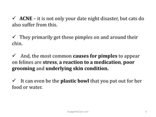  ACNE – it is not only your date night disaster, but cats do
also suffer from this.
 They primarily get these pimples on and around their
chin.
 And, the most common causes for pimples to appear
on felines are stress, a reaction to a medication, poor
grooming and underlying skin condition.
 It can even be the plastic bowl that you put out for her
food or water.
6BudgetVetCare.com
 