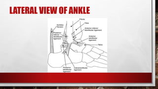 LATERAL VIEW OF ANKLE
 