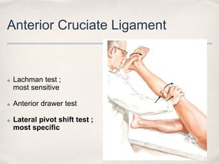 Common sports injuries.2560