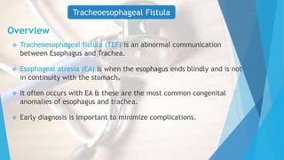 Overview
 Tracheoesophageal fistula (TEF) is an abnormal communication
between Esophagus and Trachea.
 Esophageal atresia (EA) is when the esophagus ends blindly and is not
in continuity with the stomach.
 It often occurs with EA & these are the most common congenital
anomalies of esophagus and trachea.
 Early diagnosis is important to minimize complications.
Tracheoesophageal Fistula
 