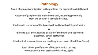 Pathology
Arrest of neuroblast migration in the gut from the proximal to distal bowel
Absence of ganglion cells in the bowel wall, extending proximally
from the anus for a variable distance.
Inadequate relaxation of the bowel wall and bowel wall hypertonicity
Failure to pass bolus leads to dilation of the bowel and abdominal
distention, bowel obstruction.
Intraluminal pressure increases, resulting in decreases blood flow (Stasis).
Stasis allows proliferation of bacteria, which can lead
to enterocolitis with associated diarrhea,sepsis.
 