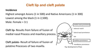 Cleft lip and cleft palate
Incidence
Highest amongst Asians (1 in 500) and Native Americans (1 in 300)
Lowest among the black (1 in 2,500).
Male: Female = 3:1
Cleft lip- Results from failure of fusion of
medial nasal Process and maxillary process.
Cleft palate- Result of failure of fusion of
palatine Processes of two maxilla. Fig: development of face
 