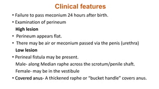 Clinical features
• Failure to pass meconium 24 hours after birth.
• Examination of perineum
High lesion
• Perineum appears flat.
• There may be air or meconium passed via the penis (urethra)
Low lesion
• Perineal fistula may be present.
Male- along Median raphe across the scrotum/penile shaft.
Female- may be in the vestibule
• Covered anus- A thickened raphe or “bucket handle” covers anus.
 