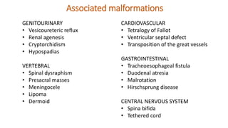 Associated malformations
GENITOURINARY
• Vesicoureteric reflux
• Renal agenesis
• Cryptorchidism
• Hypospadias
VERTEBRAL
• Spinal dysraphism
• Presacral masses
• Meningocele
• Lipoma
• Dermoid
CARDIOVASCULAR
• Tetralogy of Fallot
• Ventricular septal defect
• Transposition of the great vessels
GASTROINTESTINAL
• Tracheoesophageal fistula
• Duodenal atresia
• Malrotation
• Hirschsprung disease
CENTRAL NERVOUS SYSTEM
• Spina bifida
• Tethered cord
 