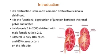 Introduction
• UPJ obstruction is the most common obstructive lesion in
childhood.
• It is the functional obstruction of junction between the renal
pelvis and ureter.
• Incidence is 1 in 2000 children with
male female ratio is 2:1.
• Bilateral in only 10% cases
and 60% cases occurs
on the left side.
 