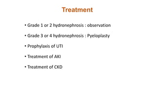 Treatment
• Grade 1 or 2 hydronephrosis : observation
• Grade 3 or 4 hydronephrosis : Pyeloplasty
• Prophylaxis of UTI
• Treatment of AKI
• Treatment of CKD
 