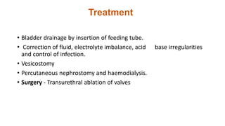 Treatment
• Bladder drainage by insertion of feeding tube.
• Correction of fluid, electrolyte imbalance, acid base irregularities
and control of infection.
• Vesicostomy
• Percutaneous nephrostomy and haemodialysis.
• Surgery - Transurethral ablation of valves
 