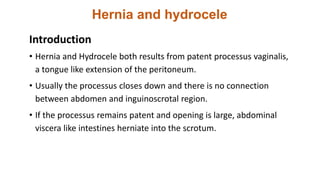 Hernia and hydrocele
Introduction
• Hernia and Hydrocele both results from patent processus vaginalis,
a tongue like extension of the peritoneum.
• Usually the processus closes down and there is no connection
between abdomen and inguinoscrotal region.
• If the processus remains patent and opening is large, abdominal
viscera like intestines herniate into the scrotum.
 