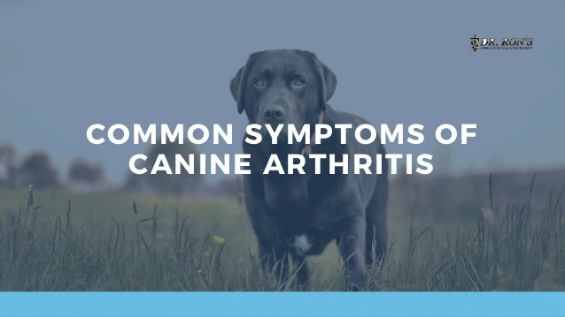 COMMON SYMPTOMS OF
CANINE ARTHRITIS
 