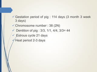  Gestation period of pig : 114 days (3 month 3 week
3 days)
 Chromosome number : 38 (2N)
 Dentition of pig : 3/3, 1/1, 4/4, 3/3= 44
 Estrous cycle 21 days
 Heat period 2-3 days
 