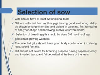 Selection of sow
 Gilts should have at least 12 functional teats
 Gilt are selected from mother pigs having good mothering ability
as shown by large litter size and weight at weaning. first farrowing
at one year of age and farrowing interval of seven month.
 Selection of breeding gilts should be done 5-6 months of age.
 Select fast growing weaners.
 The selected gilts should have good body confirmation i.e. strong
legs, sound feet etc.
 Gilt should not select for breeding purpose having supernumerary
and inverted teats, and fat deposited at the base of the teats
 