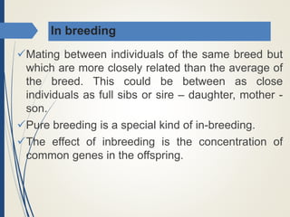 In breeding
Mating between individuals of the same breed but
which are more closely related than the average of
the breed. This could be between as close
individuals as full sibs or sire – daughter, mother -
son.
Pure breeding is a special kind of in-breeding.
The effect of inbreeding is the concentration of
common genes in the offspring.
 