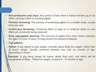  Non-productive sow days: Any period of time when a mature female pig is not
either carrying a litter or suckling piglets
 Periodic farrowing: The process of producing piglets on a smaller scale, usually
twice per year.
 Continuous farrowing: Producing litters of pigs on a continual basis so new
litters are constantly being produced
 Early segregated weaning: The removal of piglets from their mother between
the ages of 4 and 14 days, to help prevent the spread of disease
 Teat pattern:
 Porker: A pig reared to pork weight, normally about 60kg live weight, rather than
to bacon weight. Usually achieved between four and six months of age,
depending on breed.
 Baconer: A pig being reared for bacon rather than pork, and which will be
slaughtered at 80kg - 100kg live weight, at about 8 - 10 months of age.
 