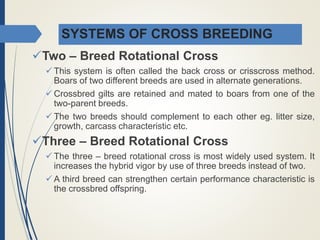 SYSTEMS OF CROSS BREEDING
Two – Breed Rotational Cross
 This system is often called the back cross or crisscross method.
Boars of two different breeds are used in alternate generations.
 Crossbred gilts are retained and mated to boars from one of the
two-parent breeds.
 The two breeds should complement to each other eg. litter size,
growth, carcass characteristic etc.
Three – Breed Rotational Cross
 The three – breed rotational cross is most widely used system. It
increases the hybrid vigor by use of three breeds instead of two.
 A third breed can strengthen certain performance characteristic is
the crossbred offspring.
 