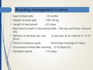 Breeding management in swine
 Age to breed gilts - 8 months
 Weight of breed gilts -100-120 kg
 Length of heat period -2-3 days
 Best time to breed in heat period Gilts – first day and Sows- Second
day
 Number of services per sow -2 services at an interval of 12-14
hours
 Period of oestrous cycle -18-24 days (Average 21 days)
 Occurrence of heat after weaning -2-10 days(3-5)
 Gestation period -114 days
 