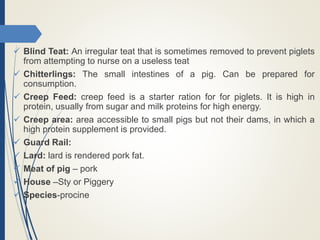  Blind Teat: An irregular teat that is sometimes removed to prevent piglets
from attempting to nurse on a useless teat
 Chitterlings: The small intestines of a pig. Can be prepared for
consumption.
 Creep Feed: creep feed is a starter ration for for piglets. It is high in
protein, usually from sugar and milk proteins for high energy.
 Creep area: area accessible to small pigs but not their dams, in which a
high protein supplement is provided.
 Guard Rail:
 Lard: lard is rendered pork fat.
 Meat of pig – pork
 House –Sty or Piggery
 Species-procine
 