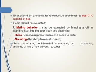  Boar should be evaluated for reproductive soundness at least 7 ½
months of age.
 Boars should be evaluated:
1. Mating behavior - may be evaluated by bringing a gilt in
standing heat into the boar's pen and observing
libido- Observe aggressiveness and desire to mate
Mounting- the ability to mount correctly.
 Some boars may be interested in mounting but lameness,
arthritis, or injury may prevent success.
 