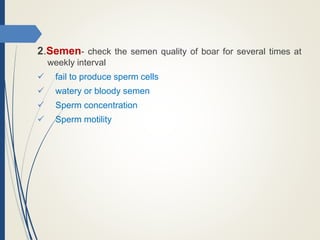 2.Semen- check the semen quality of boar for several times at
weekly interval
 fail to produce sperm cells
 watery or bloody semen
 Sperm concentration
 Sperm motility
 