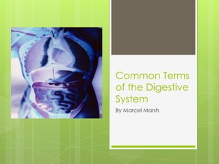 Common Terms
of the Digestive
System
By Marcel Marsh
 