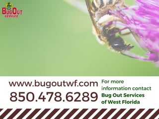 850.478.6289
www.bugoutwf.com For more
information contact
Bug Out Services
of West Florida
 