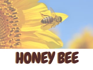 HONEY BEEHONEY BEE
 