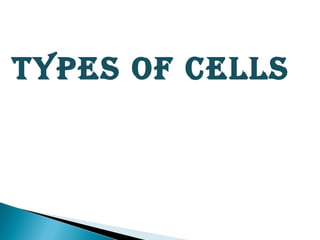 TYPES OF CELLS
 
