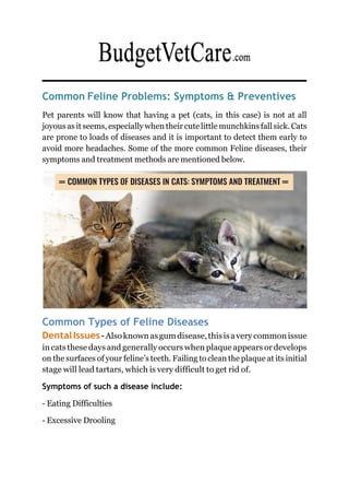Image result for Common Feline Diseases: Symptoms & Preventives | PDF