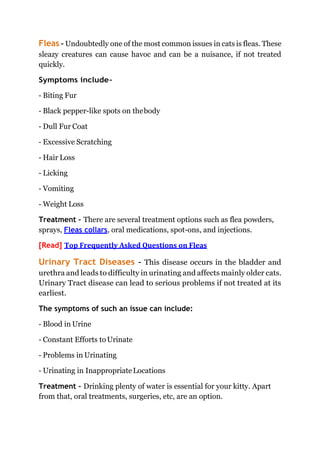 Picture of Common Feline Diseases: Symptoms & Preventives | PDF