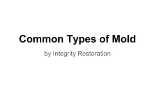 Common Types of Mold
by Integrity Restoration
 