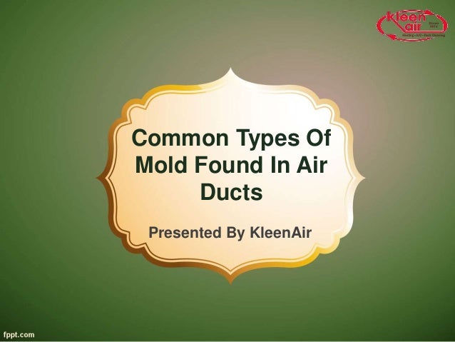 Common Types Of
Mold Found In Air
Ducts
Presented By KleenAir
 