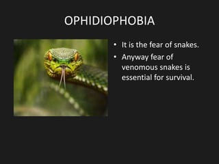 OPHIDIOPHOBIA
• It is the fear of snakes.
• Anyway fear of
venomous snakes is
essential for survival.
 