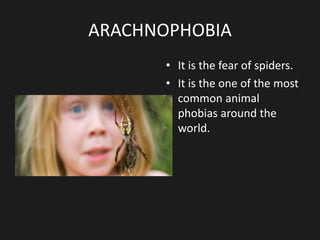 ARACHNOPHOBIA
• It is the fear of spiders.
• It is the one of the most
common animal
phobias around the
world.
 