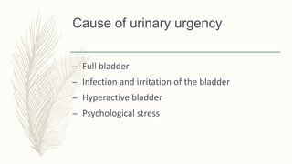 Cause of urinary urgency
– Full bladder
– Infection and irritation of the bladder
– Hyperactive bladder
– Psychological stress
 