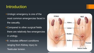 Common urological emergencies   