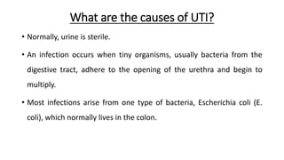 What are the causes of UTI?
• Normally, urine is sterile.
• An infection occurs when tiny organisms, usually bacteria from the
digestive tract, adhere to the opening of the urethra and begin to
multiply.
• Most infections arise from one type of bacteria, Escherichia coli (E.
coli), which normally lives in the colon.
 