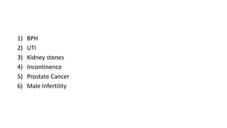 1) BPH
2) UTI
3) Kidney stones
4) Incontinence
5) Prostate Cancer
6) Male Infertility
 