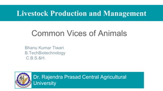 Livestock Production and Management
Common Vices of Animals
Bhanu Kumar Tiwari
B.TechBiotechnology
C.B.S.&H.
Dr. Rajendra Prasad Central Agricultural
University
 