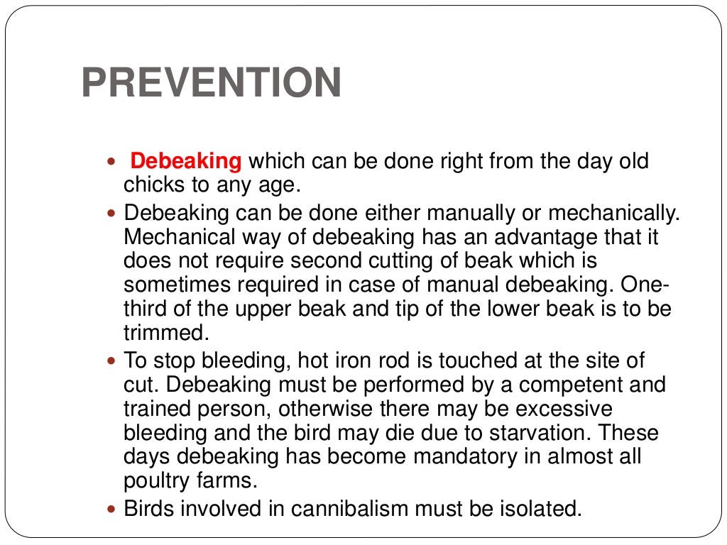 Common vices of poultry and their prevention